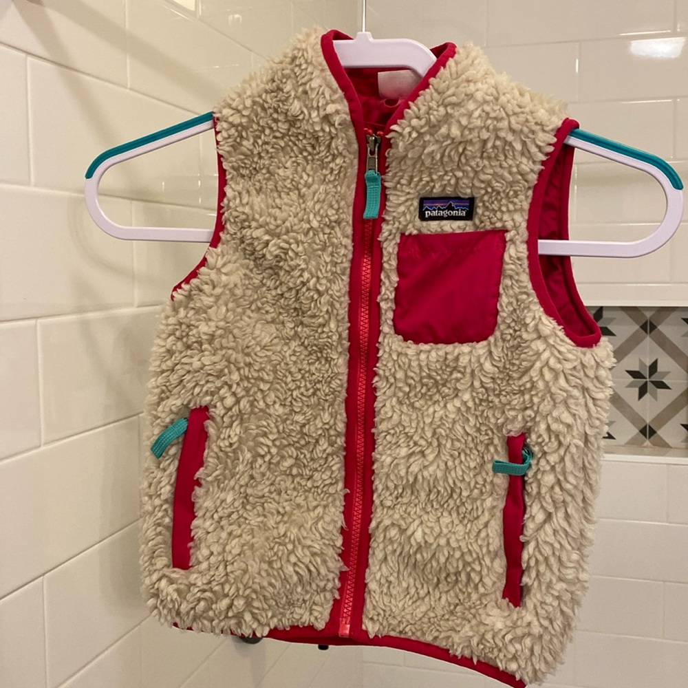 Patagonia Retro-X Fleece Vest